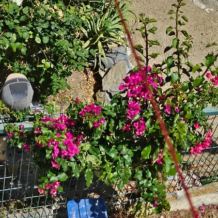 펜션 Bodrumda Sirin Ev Bodrum